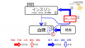 2021年11月23日 (火) 11:21時点における版のサムネイル