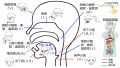 2023年2月28日 (火) 13:50時点における版のサムネイル