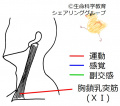 2021年8月2日 (月) 14:41時点における版のサムネイル