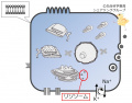 2016年2月8日 (月) 19:23時点における版のサムネイル