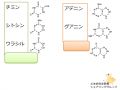 2021年3月17日 (水) 10:23時点における版のサムネイル