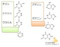 2023年8月3日 (木) 19:55時点における版のサムネイル