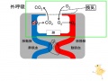 2013年2月27日 (水) 10:04時点における版のサムネイル