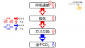 2020年9月21日 (月) 07:13時点における版のサムネイル