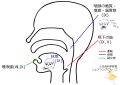 2023年3月1日 (水) 10:12時点における版のサムネイル