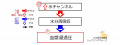 2020年1月10日 (金) 13:13時点における版のサムネイル