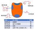 2019年2月7日 (木) 16:14時点における版のサムネイル