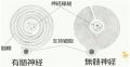 2024年3月6日 (水) 09:55時点における版のサムネイル