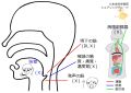 2023年2月27日 (月) 16:08時点における版のサムネイル