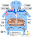 2025年2月28日 (金) 09:59時点における版のサムネイル