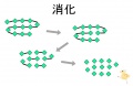 2011年4月8日 (金) 12:08時点における版のサムネイル