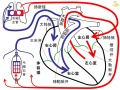 2011年4月8日 (金) 10:13時点における版のサムネイル