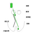 2011年4月7日 (木) 23:13時点における版のサムネイル