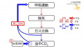 2020年10月23日 (金) 10:44時点における版のサムネイル