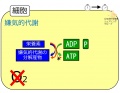 2013年7月24日 (水) 16:39時点における版のサムネイル