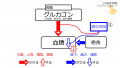 2021年11月22日 (月) 14:19時点における版のサムネイル