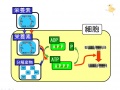 2011年4月10日 (日) 15:25時点における版のサムネイル