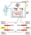 2017年3月5日 (日) 10:32時点における版のサムネイル