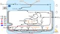 2022年7月1日 (金) 10:57時点における版のサムネイル