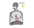 2017年2月15日 (水) 16:33時点における版のサムネイル