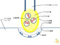 2011年4月8日 (金) 11:11時点における版のサムネイル