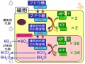 2013年2月27日 (水) 10:18時点における版のサムネイル