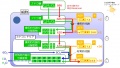 2015年9月17日 (木) 19:39時点における版のサムネイル