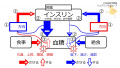 2021年3月7日 (日) 22:27時点における版のサムネイル