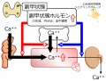 2016年9月19日 (月) 10:49時点における版のサムネイル