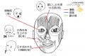 2023年6月23日 (金) 12:06時点における版のサムネイル