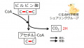 2022年5月20日 (金) 11:16時点における版のサムネイル