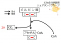 2022年6月1日 (水) 14:18時点における版のサムネイル