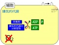 2013年7月24日 (水) 16:38時点における版のサムネイル