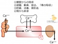 2015年12月10日 (木) 16:47時点における版のサムネイル