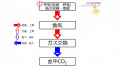 2017年6月23日 (金) 09:42時点における版のサムネイル