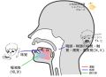 2025年2月18日 (火) 14:24時点における版のサムネイル