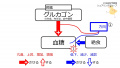 2020年8月12日 (水) 15:50時点における版のサムネイル