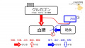 2021年11月23日 (火) 10:02時点における版のサムネイル