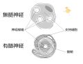 2022年3月9日 (水) 13:30時点における版のサムネイル