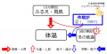 2017年3月6日 (月) 08:01時点における版のサムネイル