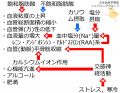 2013年10月11日 (金) 19:51時点における版のサムネイル