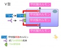 2013年2月27日 (水) 10:22時点における版のサムネイル