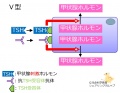 2015年9月23日 (水) 02:18時点における版のサムネイル