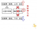 2011年4月8日 (金) 13:18時点における版のサムネイル