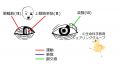 2023年6月23日 (金) 12:15時点における版のサムネイル