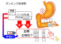 2015年3月26日 (木) 09:33時点における版のサムネイル