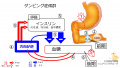 2020年8月11日 (火) 20:59時点における版のサムネイル