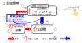 2019年6月28日 (金) 10:49時点における版のサムネイル