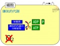 2013年7月24日 (水) 16:38時点における版のサムネイル