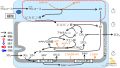 2022年7月1日 (金) 10:06時点における版のサムネイル